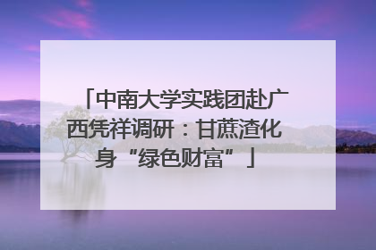 中南大学实践团赴广西凭祥调研：甘蔗渣化身“绿色财富”