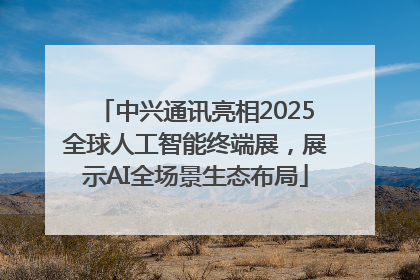 中兴通讯亮相2025全球人工智能终端展，展示AI全场景生态布局