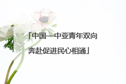 中国—中亚青年双向奔赴促进民心相通