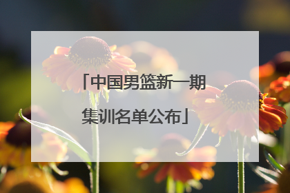 中国男篮新一期集训名单公布