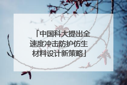 中国科大提出全速度冲击防护仿生材料设计新策略