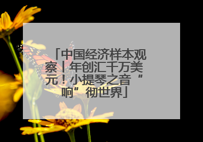 中国经济样本观察丨年创汇千万美元！小提琴之音“响”彻世界