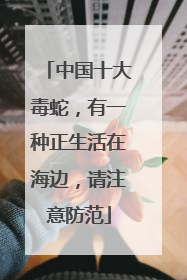 中国十大毒蛇，有一种正生活在海边，请注意防范