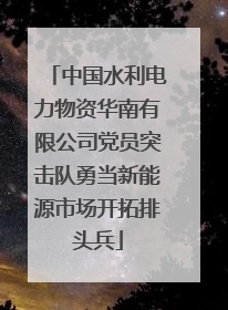 中国水利电力物资华南有限公司党员突击队勇当新能源市场开拓排头兵