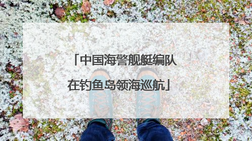 中国海警舰艇编队在钓鱼岛领海巡航