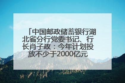 中国邮政储蓄银行湖北省分行党委书记、行长肖子政：今年计划投放不少于2000亿元支持支点建设