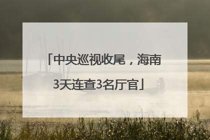 中央巡视收尾，海南3天连查3名厅官