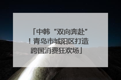 中韩“双向奔赴”！青岛市城阳区打造跨国消费狂欢场