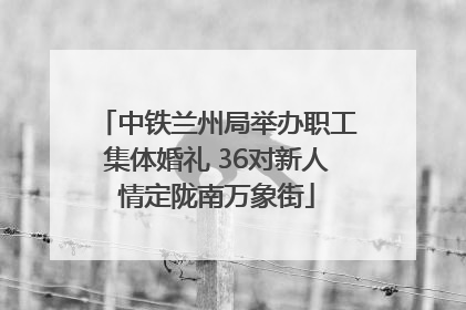 中铁兰州局举办职工集体婚礼 36对新人情定陇南万象街