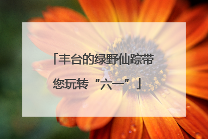 丰台的绿野仙踪带您玩转“六一”