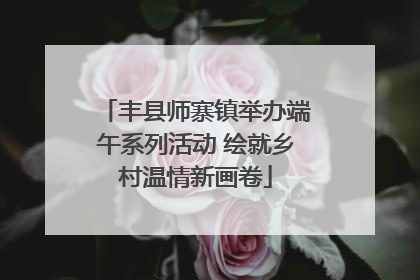 丰县师寨镇举办端午系列活动 绘就乡村温情新画卷