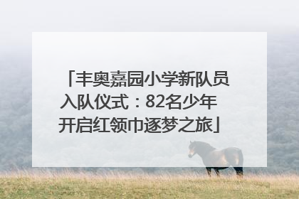 丰奥嘉园小学新队员入队仪式：82名少年开启红领巾逐梦之旅