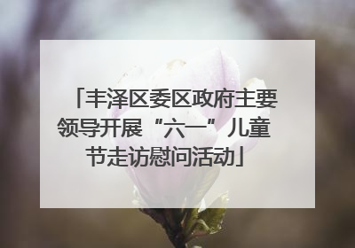 丰泽区委区政府主要领导开展“六一”儿童节走访慰问活动