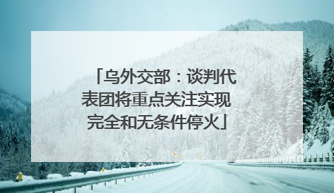 乌外交部：谈判代表团将重点关注实现完全和无条件停火