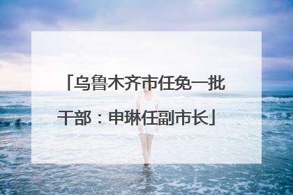 乌鲁木齐市任免一批干部：申琳任副市长