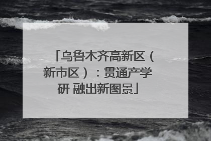乌鲁木齐高新区（新市区）：贯通产学研 融出新图景