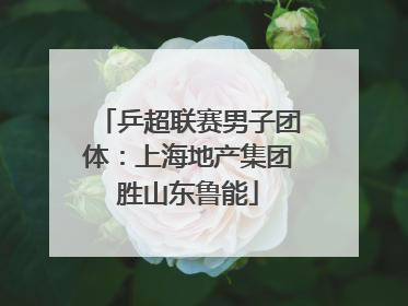 乒超联赛男子团体：上海地产集团胜山东鲁能