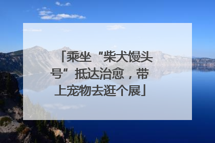 乘坐“柴犬馒头号”抵达治愈，带上宠物去逛个展