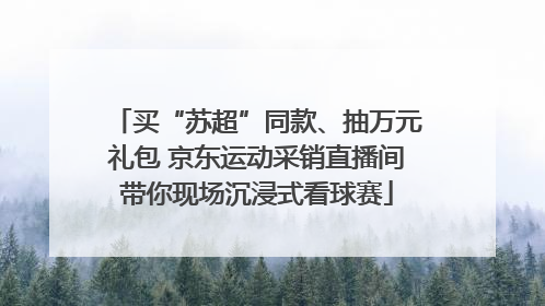买“苏超”同款、抽万元礼包 京东运动采销直播间带你现场沉浸式看球赛