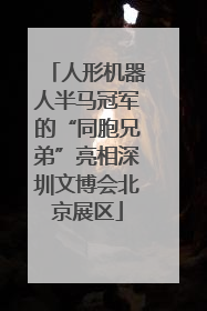 人形机器人半马冠军的“同胞兄弟”亮相深圳文博会北京展区
