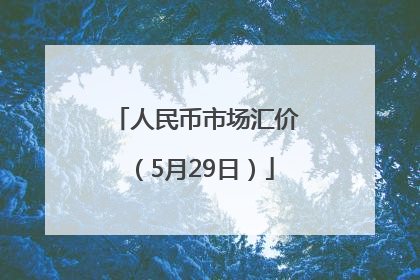 人民币市场汇价（5月29日）