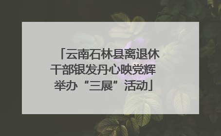 云南石林县离退休干部银发丹心映党辉举办“三展”活动