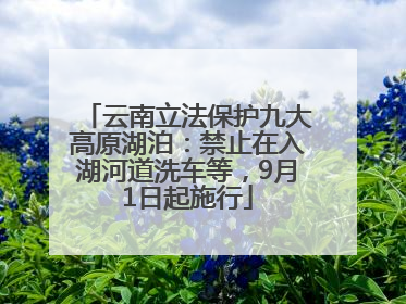 云南立法保护九大高原湖泊：禁止在入湖河道洗车等，9月1日起施行