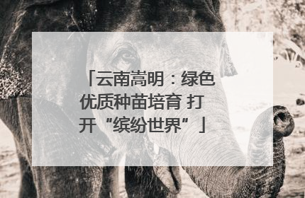 云南嵩明：绿色优质种苗培育 打开“缤纷世界”
