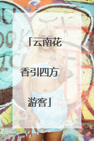 云南花香引四方游客