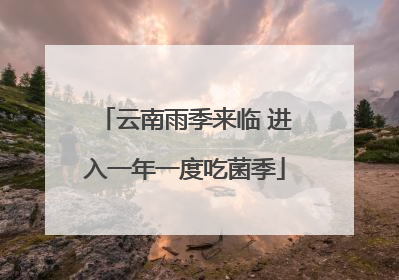 云南雨季来临 进入一年一度吃菌季