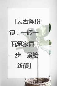 云霄陈岱镇：一砖一瓦筑家园 一步一景绘新颜