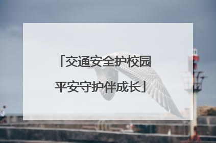 交通安全护校园 平安守护伴成长