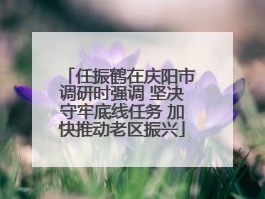 任振鹤在庆阳市调研时强调 坚决守牢底线任务 加快推动老区振兴