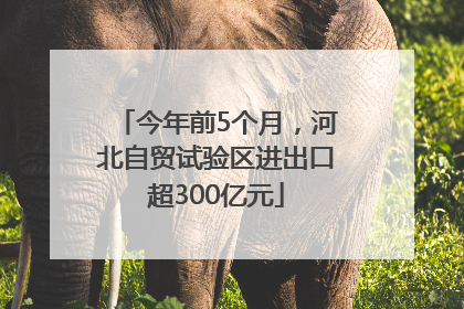 今年前5个月，河北自贸试验区进出口超300亿元