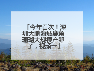 今年首次！深圳大鹏海域鹿角珊瑚大规模产卵了，视频→