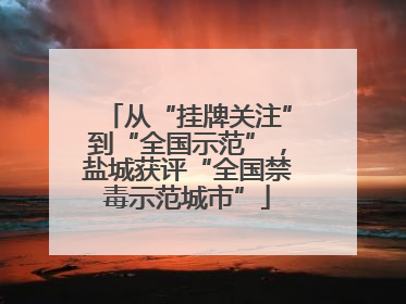 从“挂牌关注”到“全国示范”，盐城获评“全国禁毒示范城市”