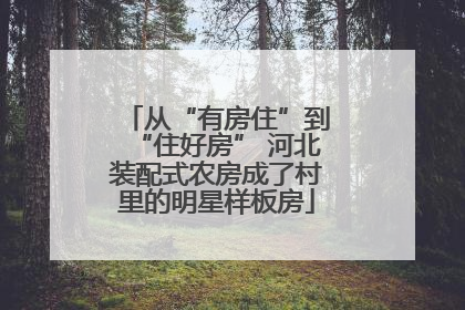 从“有房住”到“住好房” 河北装配式农房成了村里的明星样板房