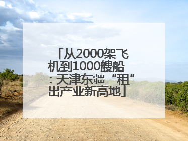 从2000架飞机到1000艘船：天津东疆“租”出产业新高地