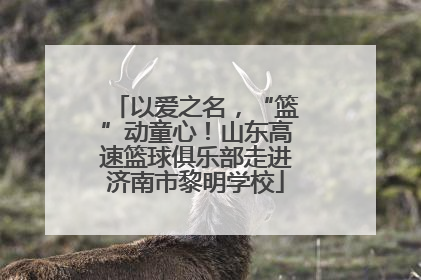 以爱之名，“篮”动童心！山东高速篮球俱乐部走进济南市黎明学校