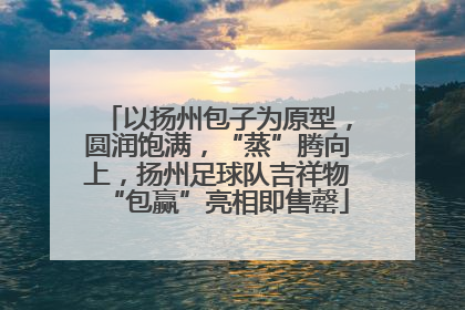 以扬州包子为原型，圆润饱满，“蒸”腾向上，扬州足球队吉祥物“包赢”亮相即售罄