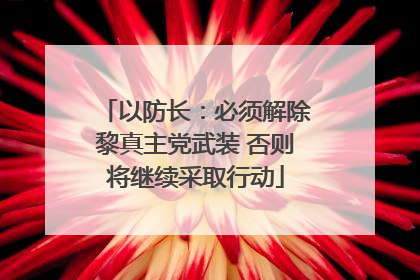 以防长：必须解除黎真主党武装 否则将继续采取行动