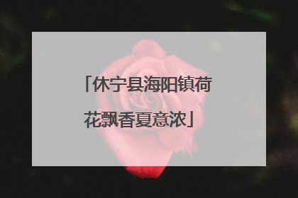 休宁县海阳镇荷花飘香夏意浓
