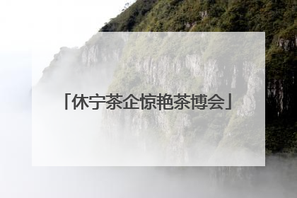 休宁茶企惊艳茶博会