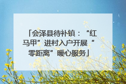 会泽县待补镇：“红马甲”进村入户开展“零距离”暖心服务