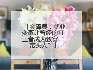 会泽县：就业变革让曾经的打工者成为致富“带头人”