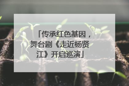 传承红色基因，舞台剧《走近杨贤江》开启巡演