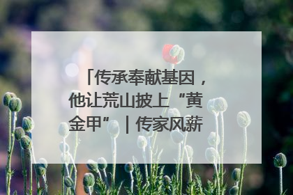 传承奉献基因，他让荒山披上“黄金甲”｜传家风薪火 颂家国情深