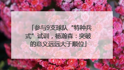 参与9支球队“特种兵式”试训，杨瀚森：突破的意义远远大于顺位