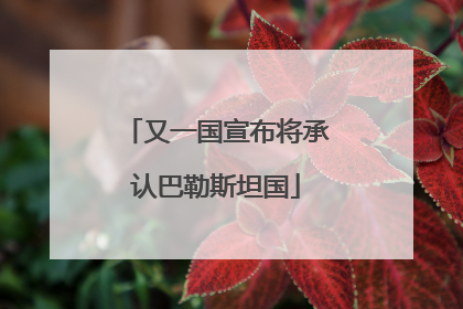 又一国宣布将承认巴勒斯坦国