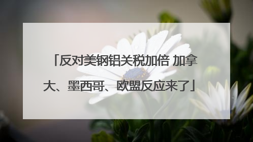 反对美钢铝关税加倍 加拿大、墨西哥、欧盟反应来了